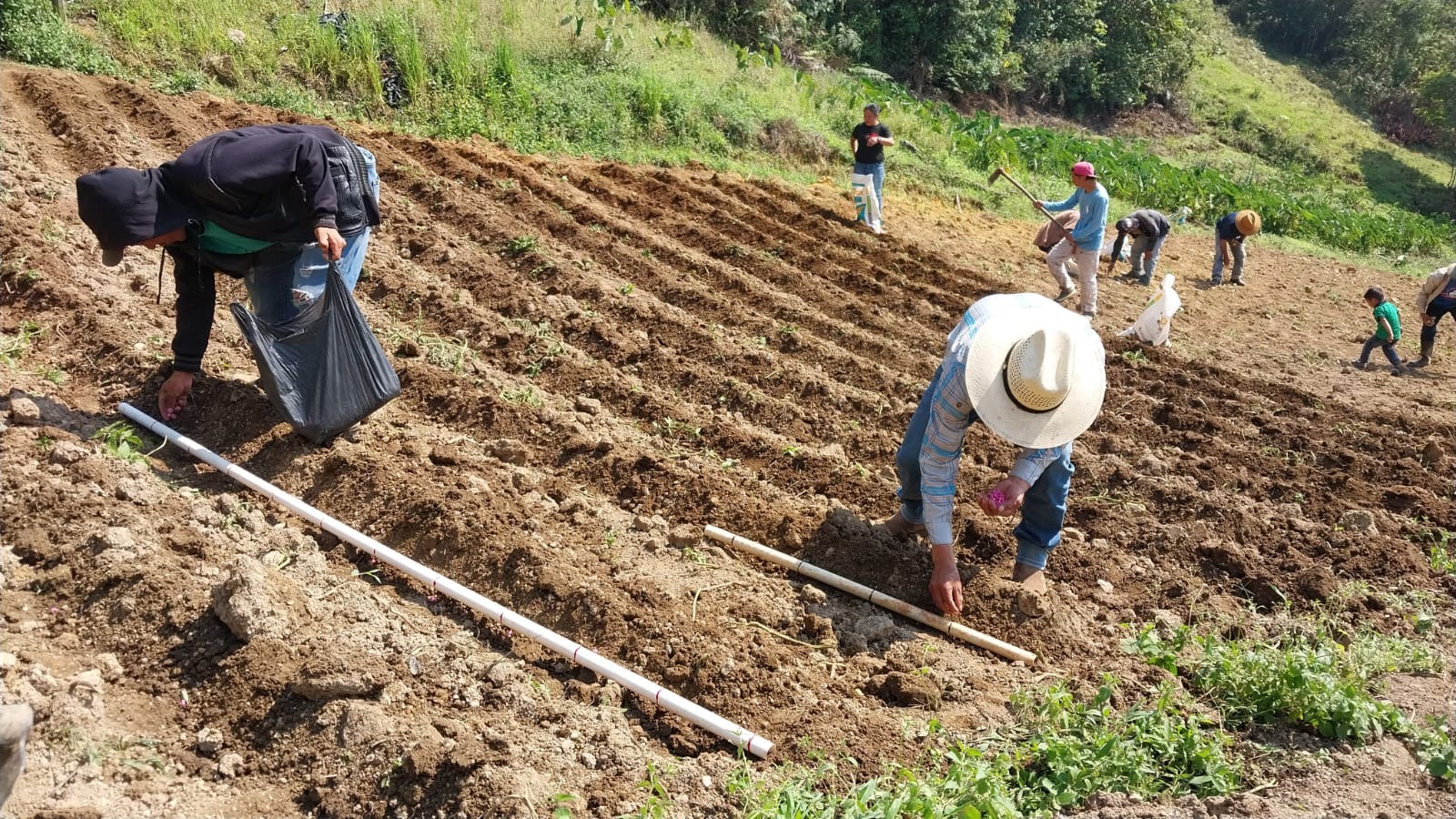 SAG fortalece la seguridad alimentaria en el occidente del país